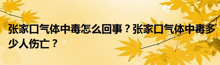 张家口气体中毒怎么回事?张家口气体中毒多少人伤亡?