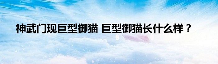 神武门现巨型御猫 巨型御猫长什么样?