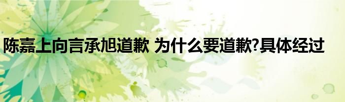陈嘉上向言承旭道歉 为什么要道歉?具体经过