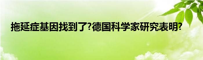 拖延症基因找到了?德国科学家研究表明?