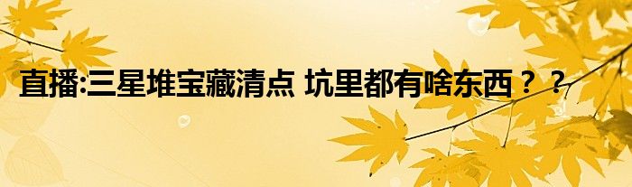 直播:三星堆宝藏清点 坑里都有啥东西??