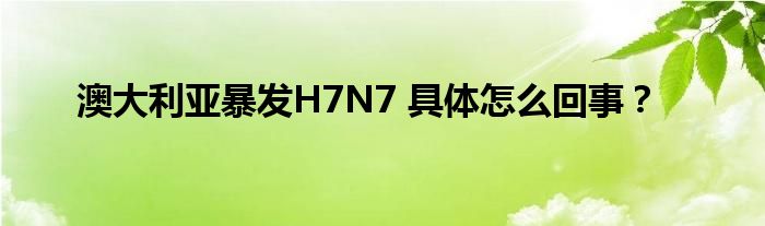 澳大利亚暴发H7N7 具体怎么回事?