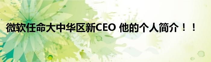微软任命大中华区新CEO 他的个人简介!!