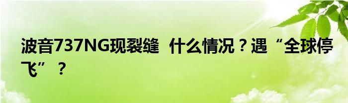 波音737NG现裂缝 什么情况?遇“全球停飞”?