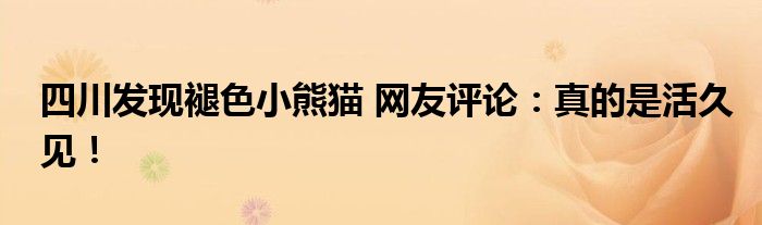 四川发现褪色小熊猫 网友评论:真的是活久见!