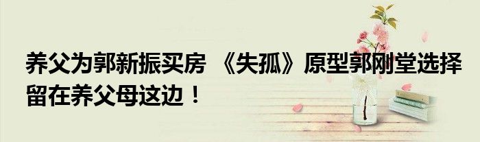 养父为郭新振买房 《失孤》原型郭刚堂选择留在养父母这边!