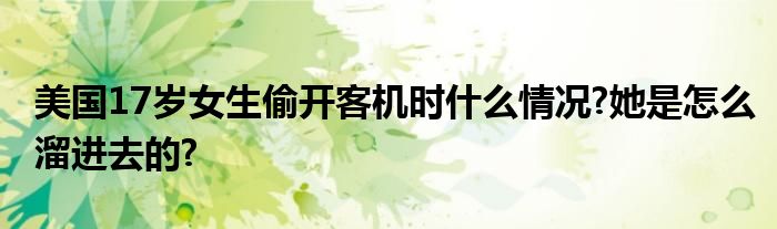 美国17岁女生偷开客机时什么情况?她是怎么溜进去的?