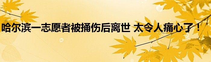 哈尔滨一志愿者被捅伤后离世 太令人痛心了!