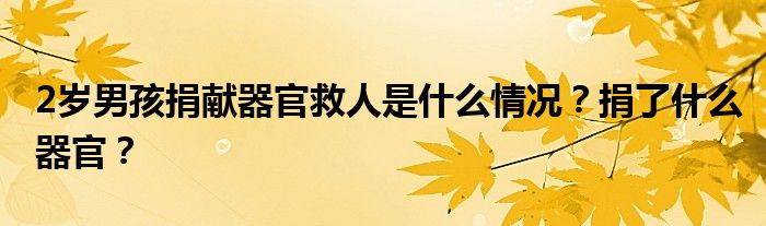 2岁男孩捐献器官救人是什么情况?捐了什么器官?