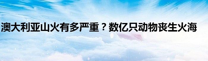 澳大利亚山火有多严重?数亿只动物丧生火海