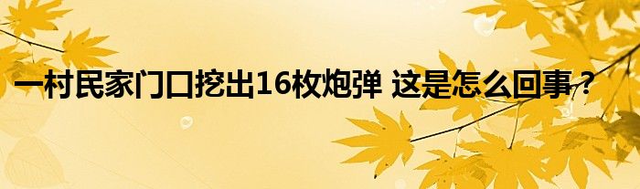 一村民家门口挖出16枚炮弹 这是怎么回事?