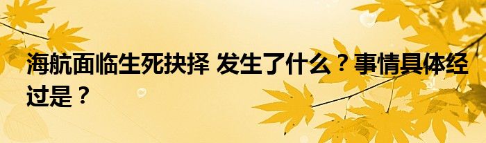 海航面临生死抉择 发生了什么?事情具体经过是?
