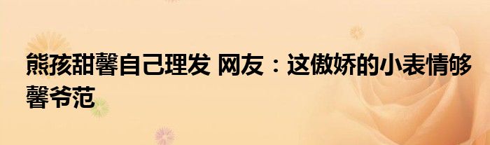 熊孩甜馨自己理发 网友:这傲娇的小表情够馨爷范