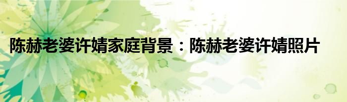 陈赫老婆许婧家庭背景:陈赫老婆许婧照片