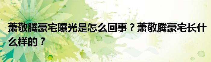 萧敬腾豪宅曝光是怎么回事？萧敬腾豪宅长什么样的？