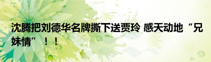 沈腾把刘德华名牌撕下送贾玲 感天动地“兄妹情”!!