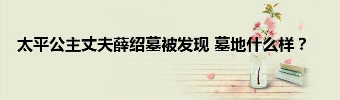 太平公主丈夫薛绍墓被发现 墓地什么样?