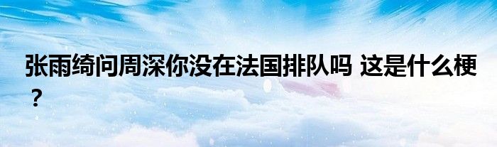 张雨绮问周深你没在法国排队吗 这是什么梗？
