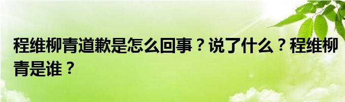 程维柳青道歉是怎么回事？说了什么？程维柳青是谁？