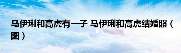 马伊琍和高虎有一子 马伊琍和高虎结婚照（图）