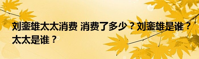 刘銮雄太太消费 消费了多少？刘銮雄是谁？太太是谁？