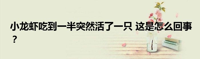 小龙虾吃到一半突然活了一只 这是怎么回事?