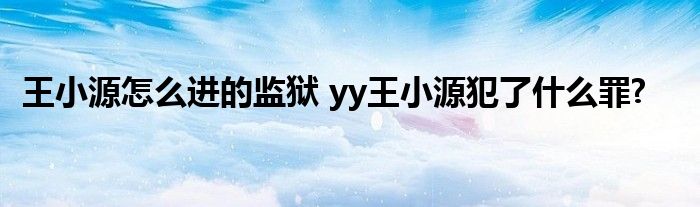 王小源怎么进的监狱 yy王小源犯了什么罪?