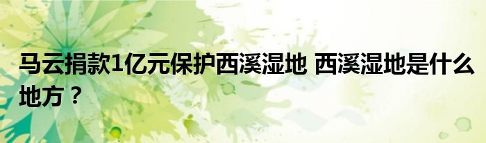 马云捐款1亿元保护西溪湿地 西溪湿地是什么地方?