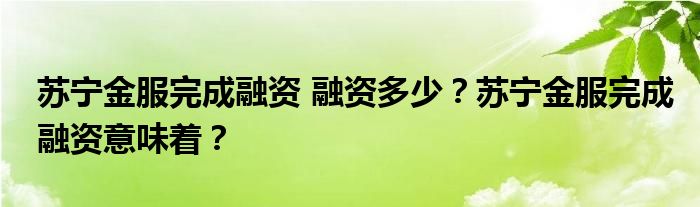 苏宁金服完成融资 融资多少?苏宁金服完成融资意味着?
