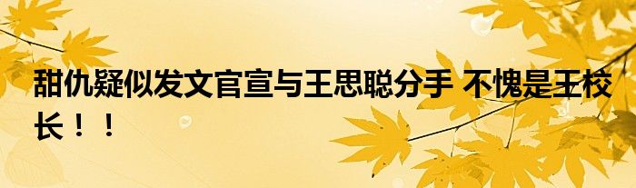甜仇疑似发文官宣与王思聪分手 不愧是王校长!!