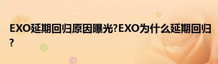 EXO延期回归原因曝光?EXO为什么延期回归?