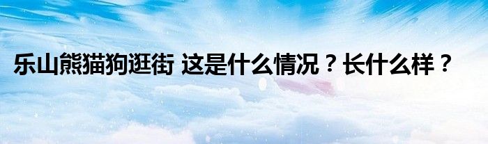 乐山熊猫狗逛街 这是什么情况?长什么样?