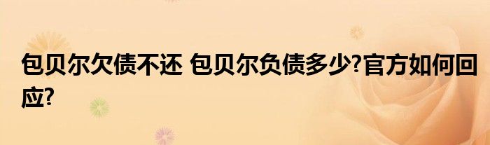 包贝尔欠债不还 包贝尔负债多少?官方如何回应?