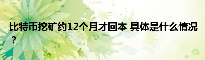 比特币挖矿约12个月才回本 具体是什么情况?