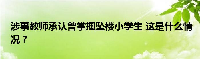 涉事教师承认曾掌掴坠楼小学生 这是什么情况？