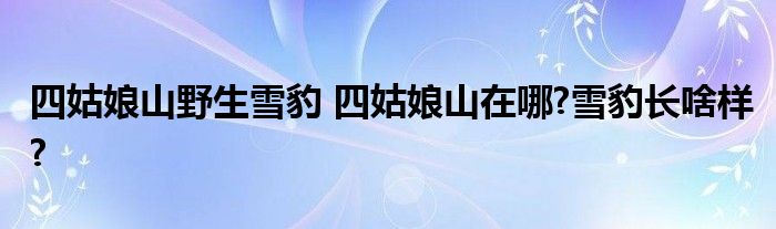 四姑娘山野生雪豹 四姑娘山在哪?雪豹长啥样?