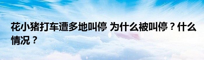 花小猪打车遭多地叫停 为什么被叫停?什么情况?