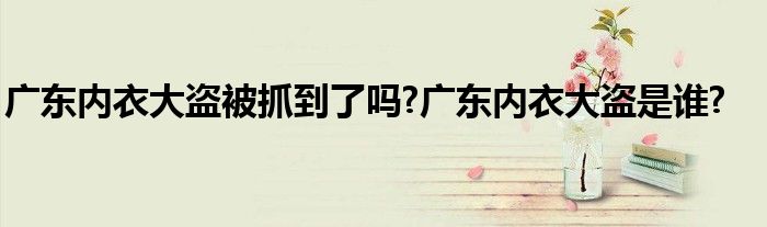 广东内衣大盗被抓到了吗?广东内衣大盗是谁?
