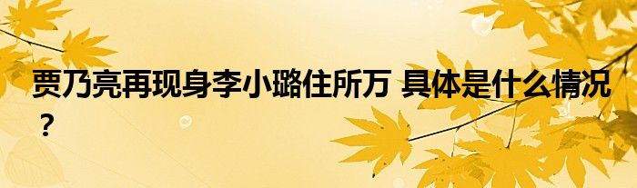 贾乃亮再现身李小璐住所万 具体是什么情况?