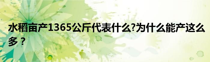 水稻亩产1365公斤代表什么?为什么能产这么多?