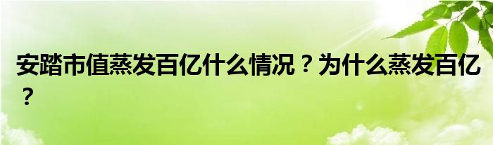 安踏市值蒸发百亿什么情况？为什么蒸发百亿？