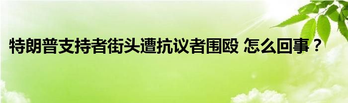 特朗普支持者街头遭抗议者围殴 怎么回事？