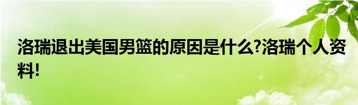 洛瑞退出美国男篮的原因是什么?洛瑞个人资料!