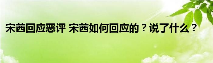 宋茜回应恶评 宋茜如何回应的?说了什么?