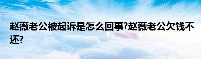 赵薇老公被起诉是怎么回事?赵薇老公欠钱不还?