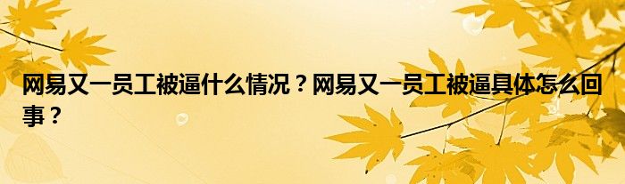 网易又一员工被逼什么情况?网易又一员工被逼具体怎么回事?