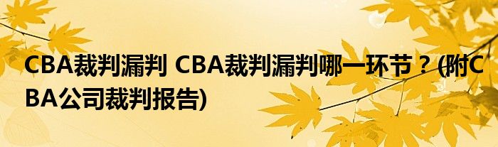 CBA裁判漏判 CBA裁判漏判哪一环节?(附CBA公司裁判报告)