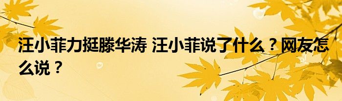 汪小菲力挺滕华涛 汪小菲说了什么？网友怎么说？