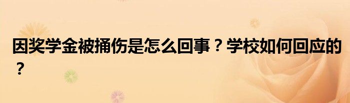 因奖学金被捅伤是怎么回事?学校如何回应的?