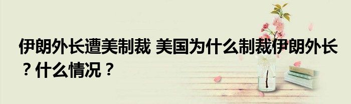 伊朗外长遭美制裁 美国为什么制裁伊朗外长？什么情况？